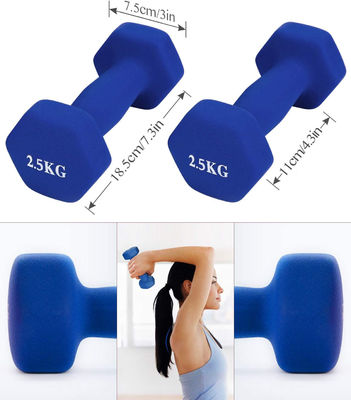 5kg 10kg 20kg Adjustable Gym Dumbbell Set Besi Cor Padat Dia 30mm Untuk Kebugaran